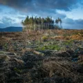 Uncover the link between climate change and the escalating threat of wildfires and heatwaves. Explore the impact of global warming on our environment and the urgent need for climate action.